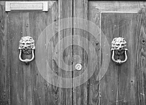 Lion head knockers on an old wooden door in Tuscany